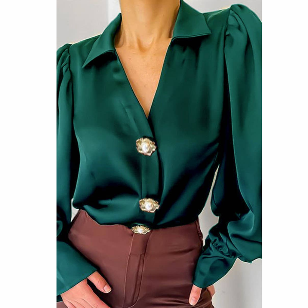 Lantern Sleeve Blouse