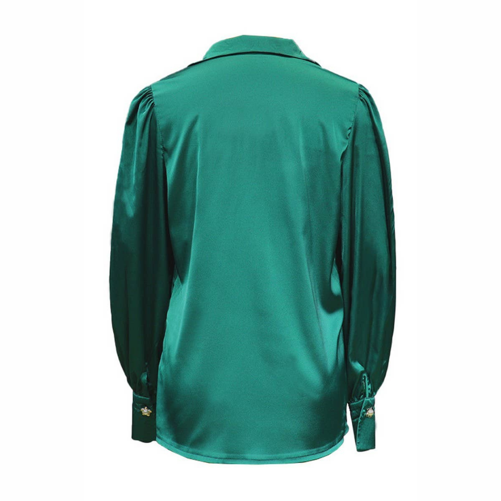 Lantern Sleeve Blouse